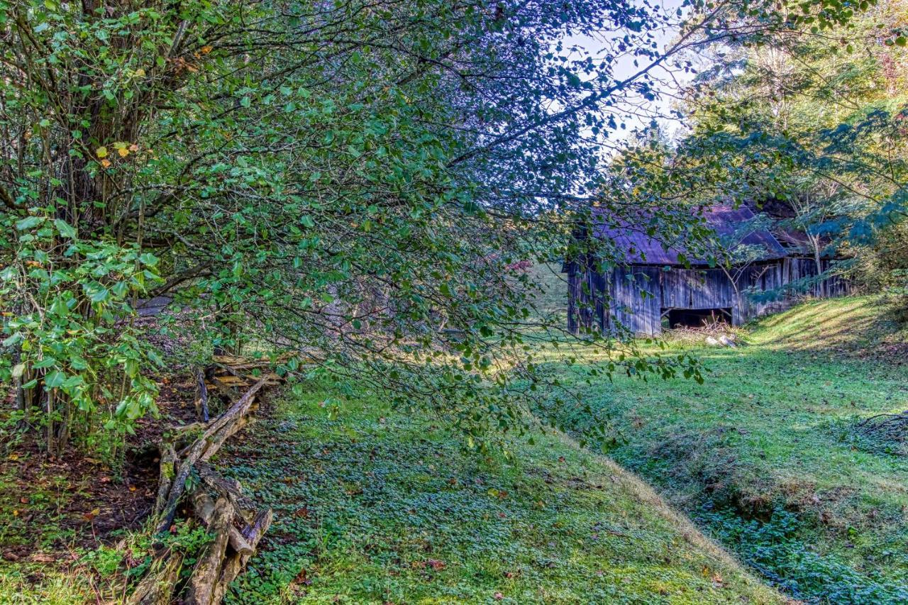 Cozy Creek Cabin Pigeon Forge Extérieur photo