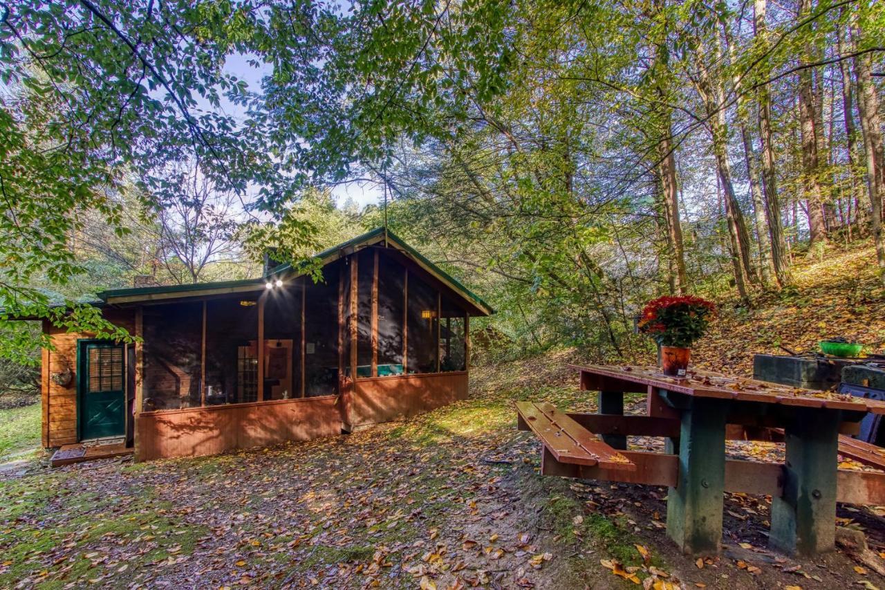 Cozy Creek Cabin Pigeon Forge Extérieur photo