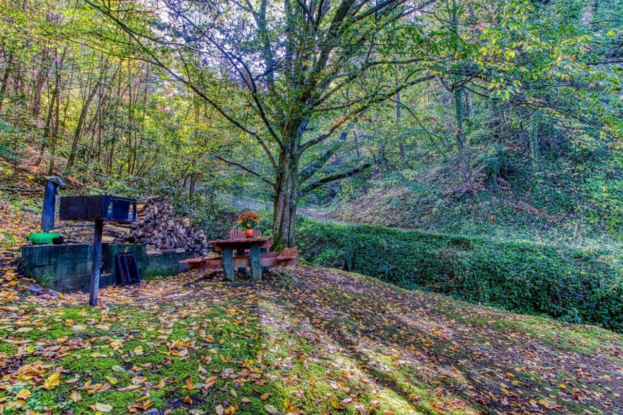 Cozy Creek Cabin Pigeon Forge Extérieur photo