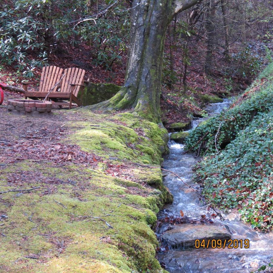 Cozy Creek Cabin Pigeon Forge Extérieur photo