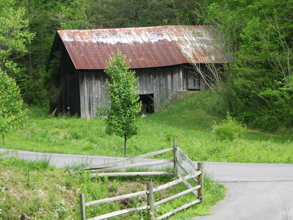 Cozy Creek Cabin Pigeon Forge Extérieur photo